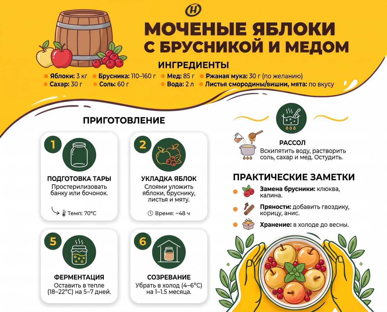 Инфографика рецепта «Мочёные яблоки с брусникой и мёдом»: вверху - ингредиенты и иллюстрация бочки с фруктами, в центре - 6 шагов приготовления в карточках, справа - блок с рассолом и практическими заметками, внизу - руки держат миску с готовыми мочёными яблоками и брусникой.